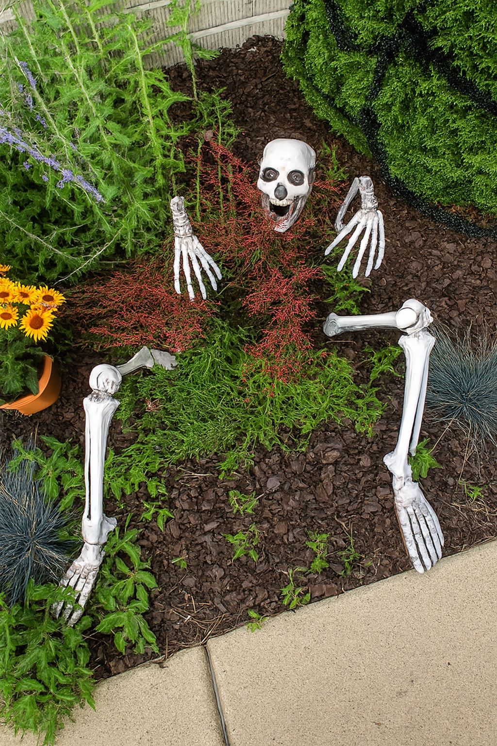Halloween Skeleton Stakes – Realistic Skull & Arms Decor