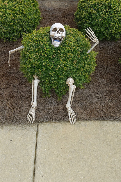 Halloween Skeleton Stakes – Realistic Skull & Arms Decor