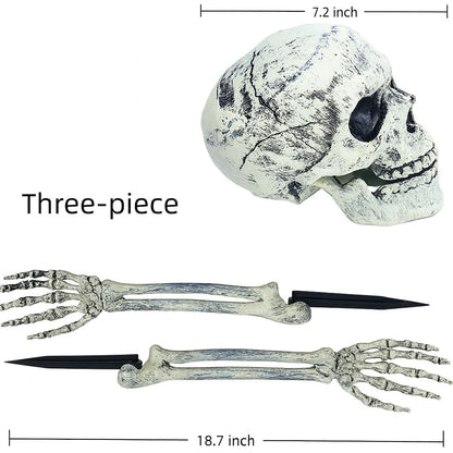 Halloween Skeleton Stakes – Realistic Skull & Arms Decor