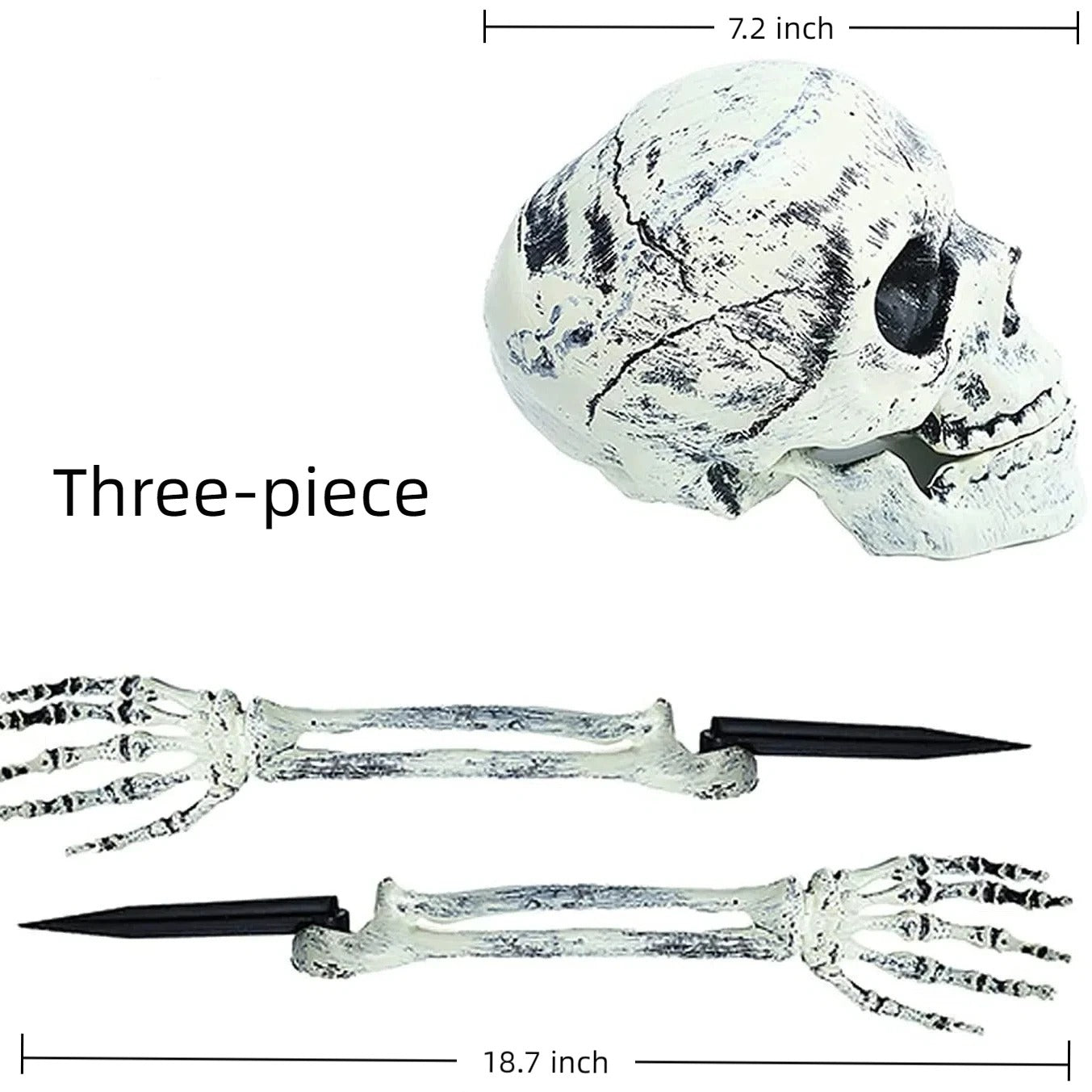 Halloween Skeleton Stakes – Realistic Skull & Arms Decor